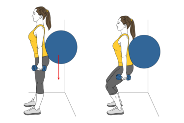 Dumbbell Squat (back on stability ball wall) - Gym visual