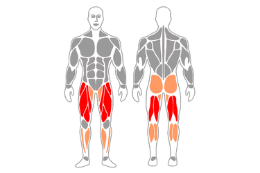 FIGURE 4 SQUAT - Exercises, workouts and routines