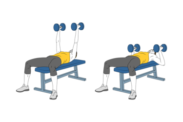 NEUTRAL-GRIP DUMBBELL BENCH PRESS - Exercises routines