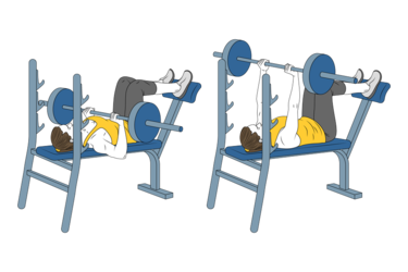BENCH PRESS LEGS RAISED - Exercises, workouts and routines