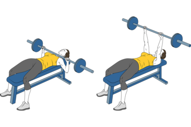 Bar Bench press - Exercises, workouts and routines