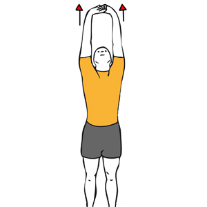 Paravertebral and wide dorsal stretch