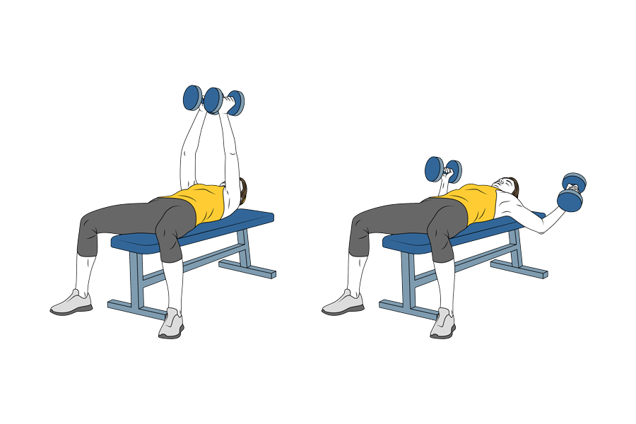 Decline bench dumbbell flyes