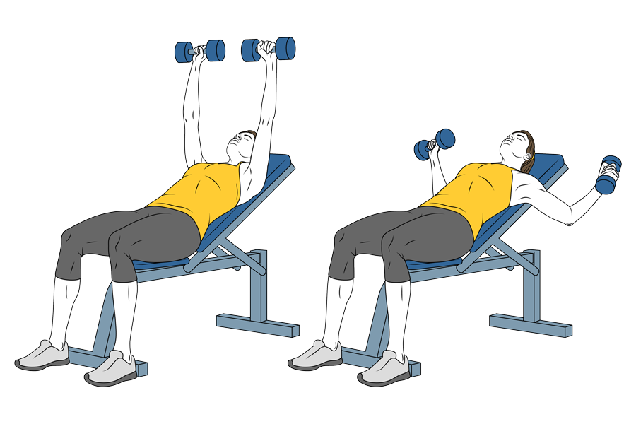 Incline bench dumbbell flyes