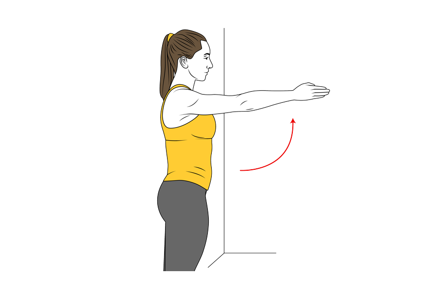 Scapular control in shoulder flexion