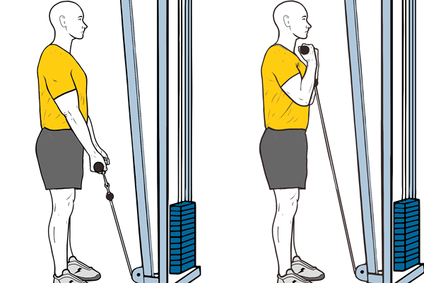 Standing biceps cable curl