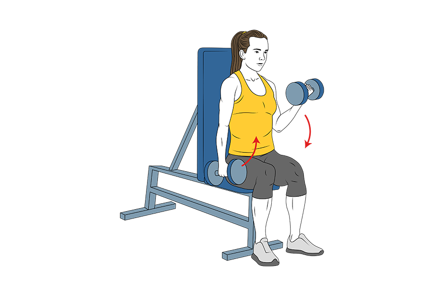 Seated alternating dumbbell bicep curls