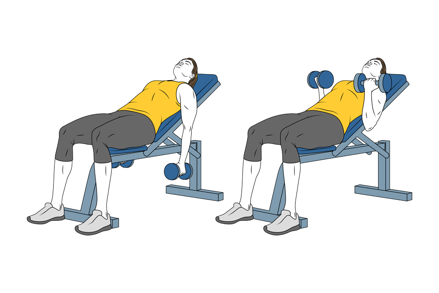 Seated incline dumbbell bicep curl