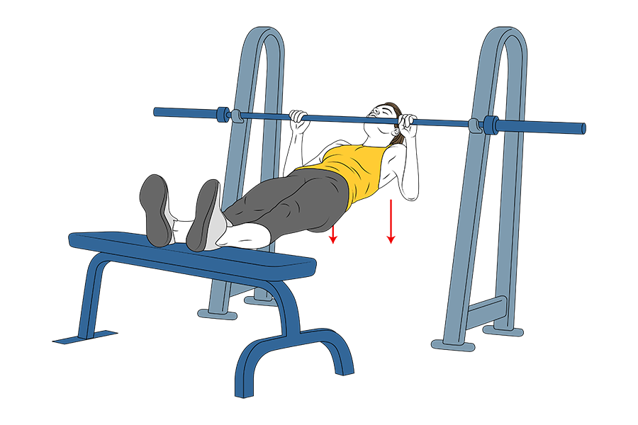 SMITH MACHINE ROW WITH BENCH SUPPORT