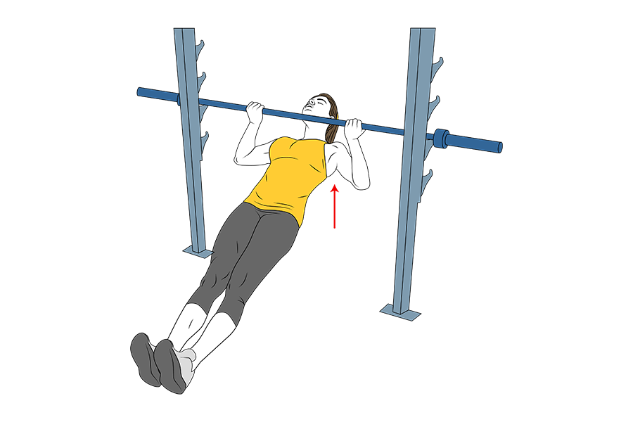 INVERTED PULL UPS SUPINATED GRIP