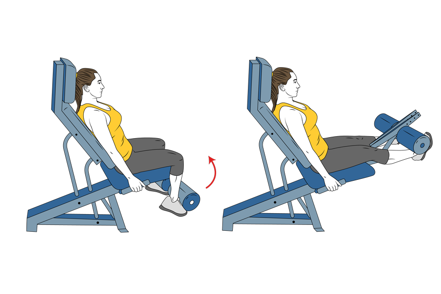 Seated machine leg extension