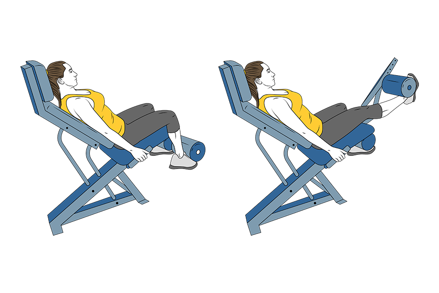 SEATED SINGLE-LEG EXTENSIONS