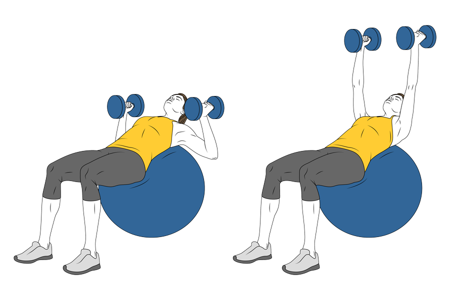 INCLINE STABILITY BALL DUMBBELL CHEST PRESS