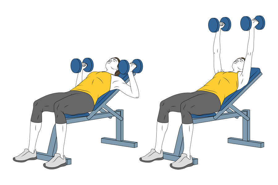 Neutral grip incline bench dumbbell chest press