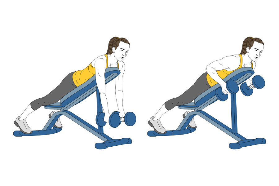 DUMBBELL CHEST-SUPPORTED ROW