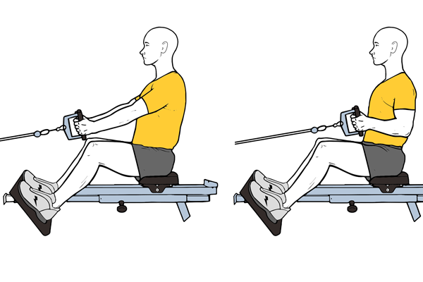 Seated Cable Row